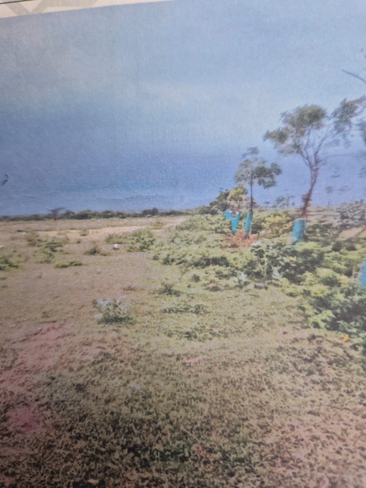 Bank of India Auctions for Residential property in Kutch, Gujarat image 3 of 3 in Mundra, Kutch | Bank of India auction property