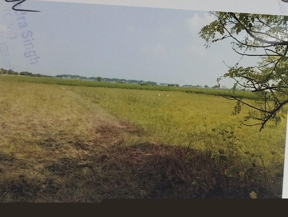 Punjab National Bank Auctions for Residential property in Bhojpur, Bihar