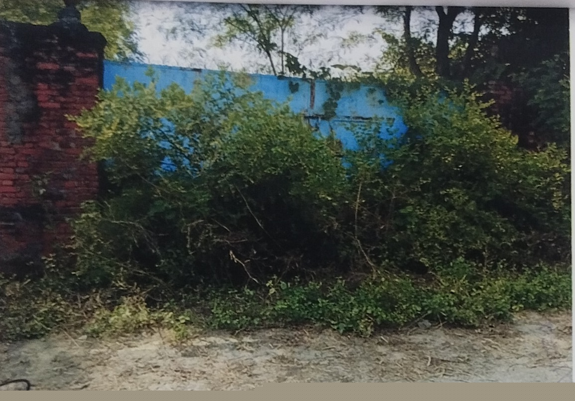 Punjab National Bank Auctions for Residential property in Bhojpur, Bihar