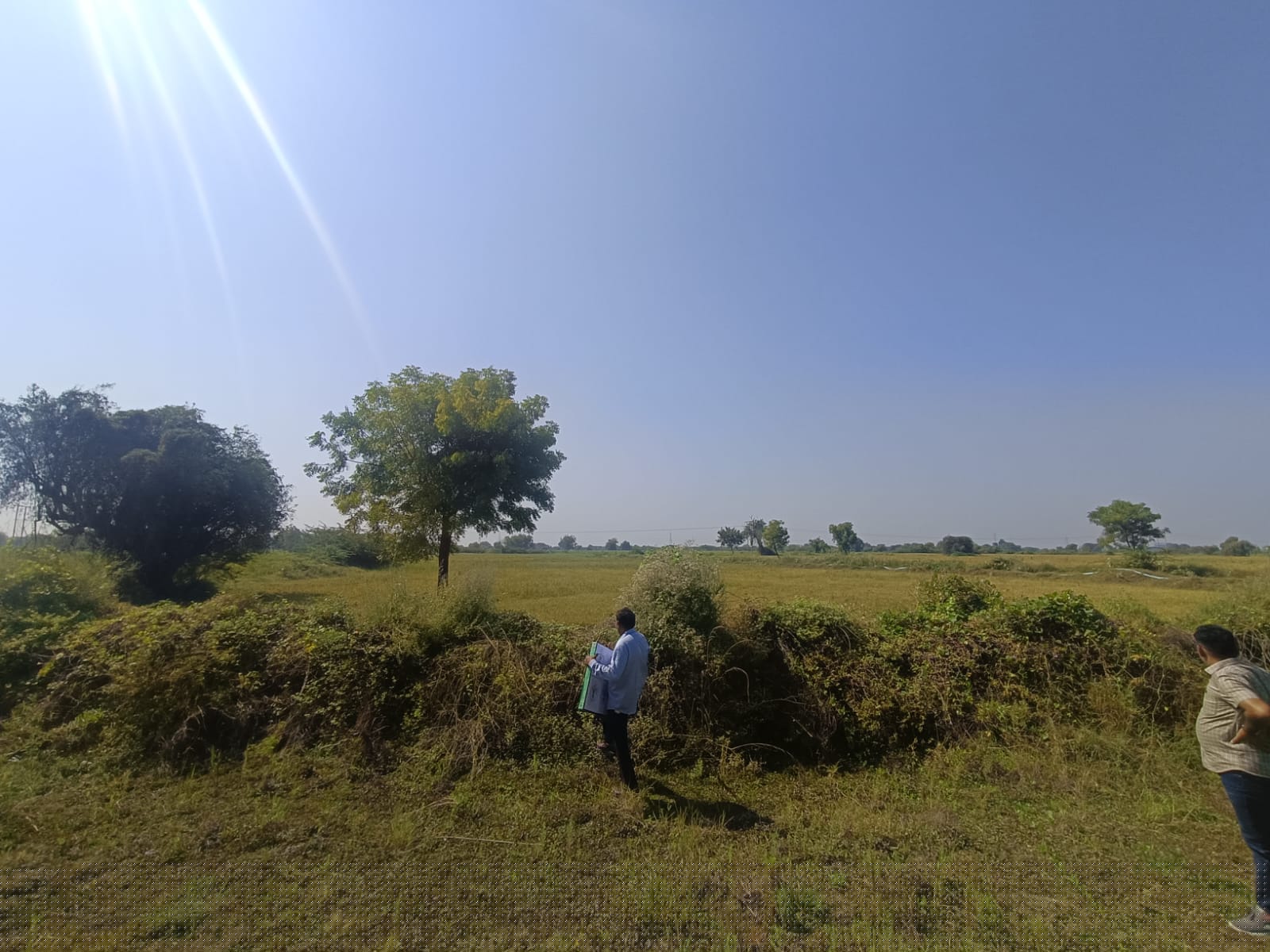 Bank of Baroda Auctions for Commercial property in Ahmedabad, Gujarat image 2 of 2 in Vani, Ahmedabad | Bank of Baroda auction property