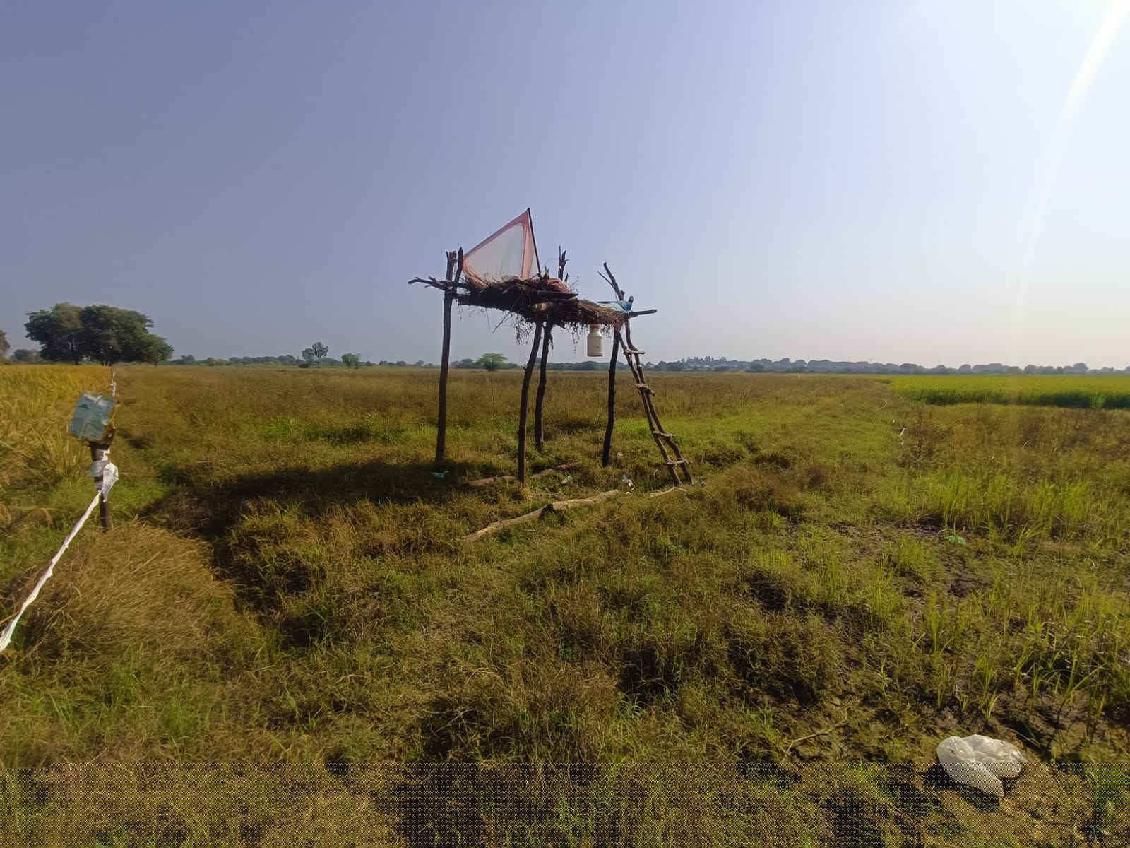 Bank of Baroda Auctions for Commercial property in Ahmedabad, Gujarat