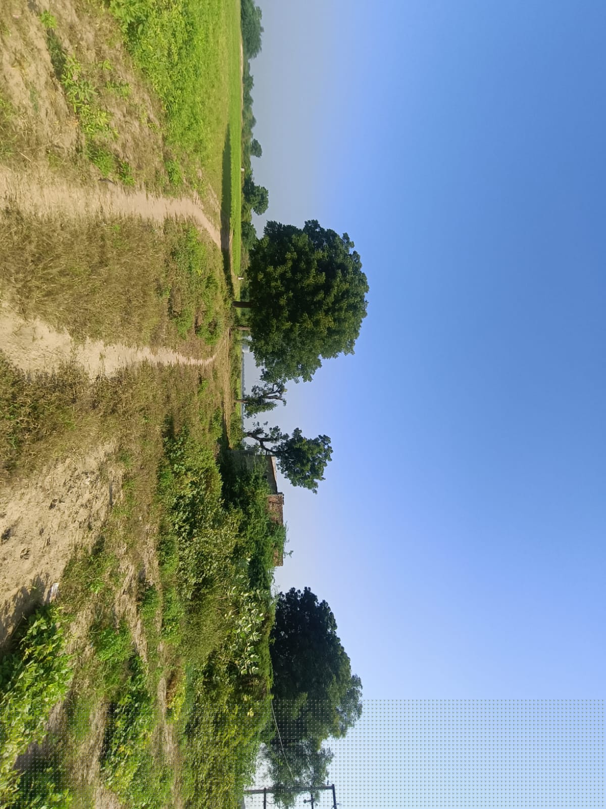 Bank of Baroda Auctions for Commercial property in Ahmedabad, Gujarat image 2 of 3 in Vani, Ahmedabad | Bank of Baroda auction property