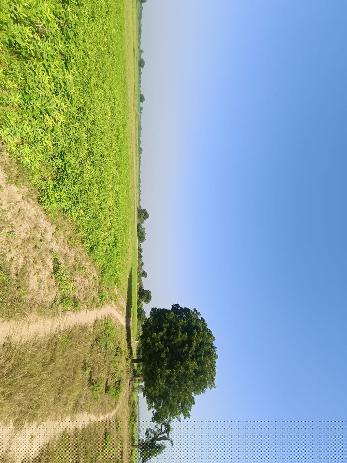 Bank of Baroda Auctions for Commercial property in Ahmedabad, Gujarat image 3 of 3 in Vani, Ahmedabad | Bank of Baroda auction property