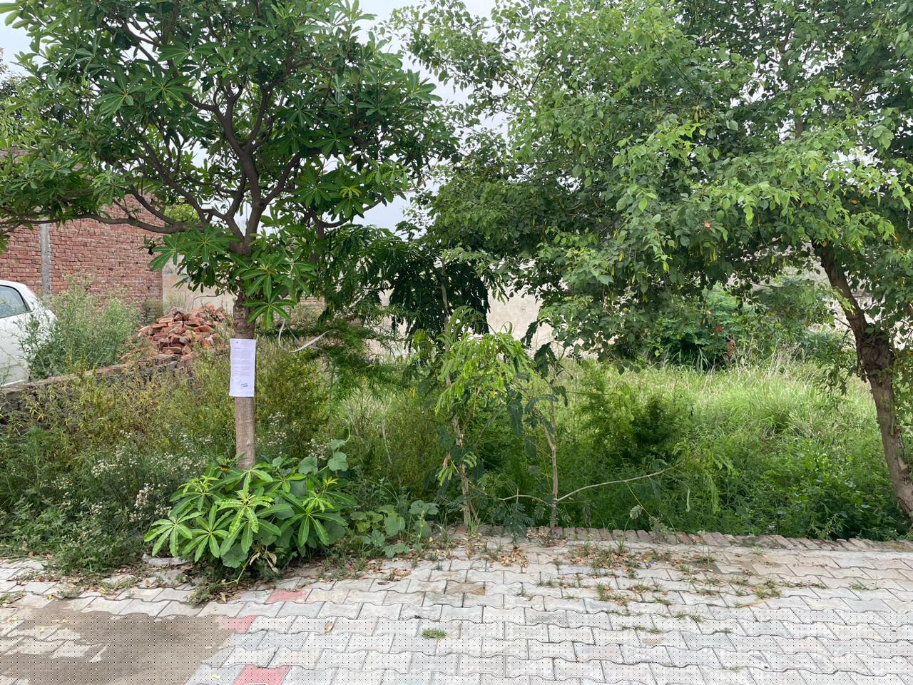 Punjab & Sind Bank Auctions for Residential property in Ferozepur, Punjab