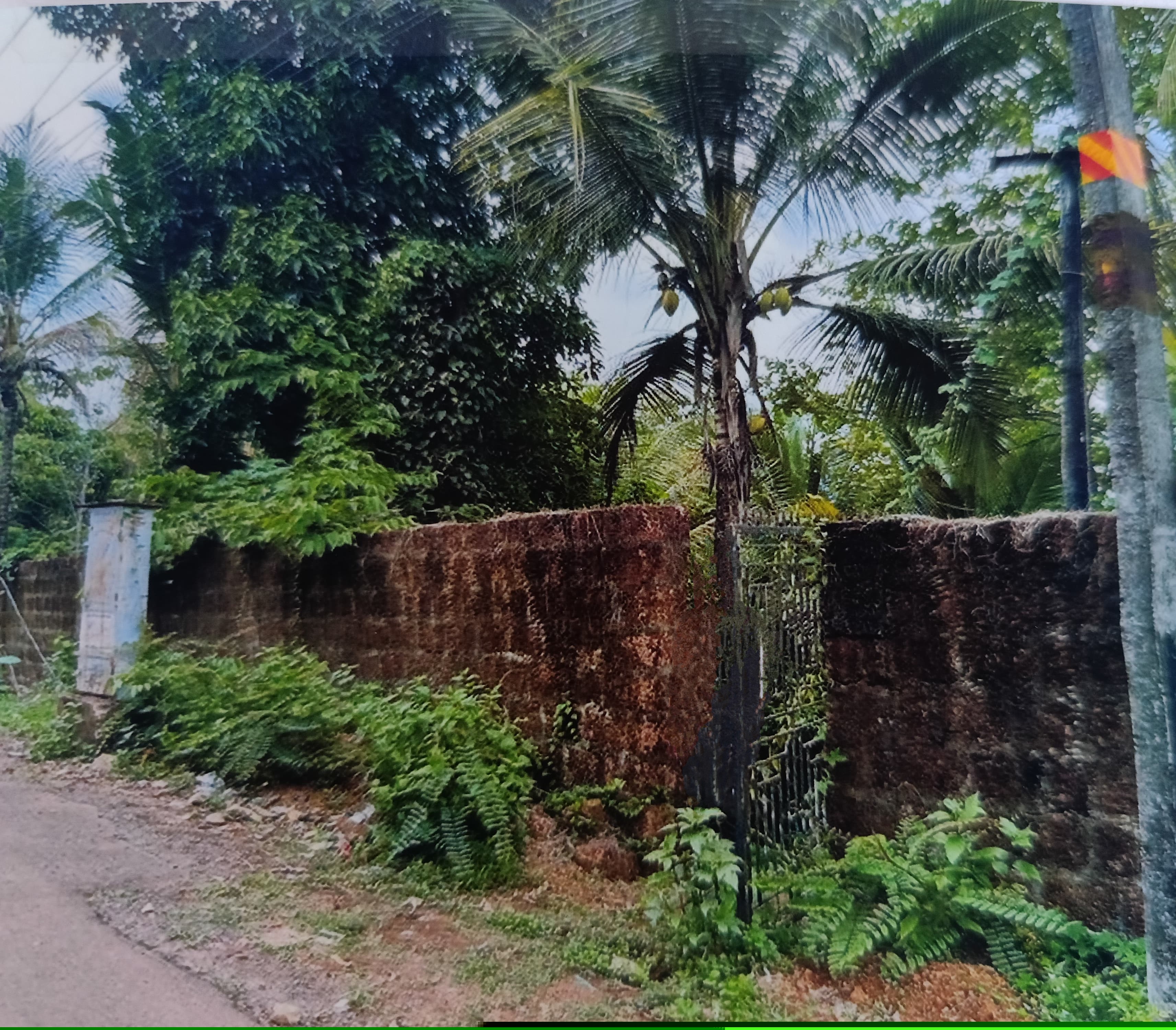 Punjab National Bank Auctions for Residential property in Kannur, Kerala image 4 of 7 in Pariyaram, Kannur | Punjab National Bank auction property