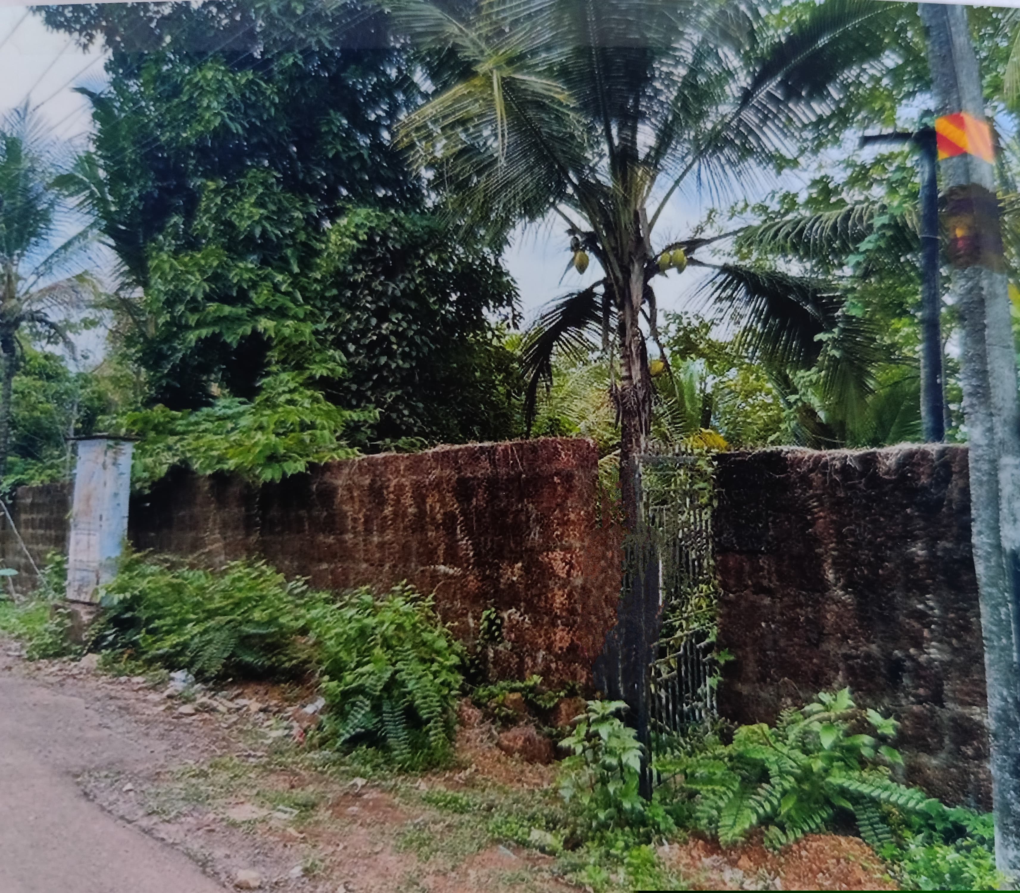 Punjab National Bank Auctions for Residential property in Kannur, Kerala image 7 of 7 in Pariyaram, Kannur | Punjab National Bank auction property