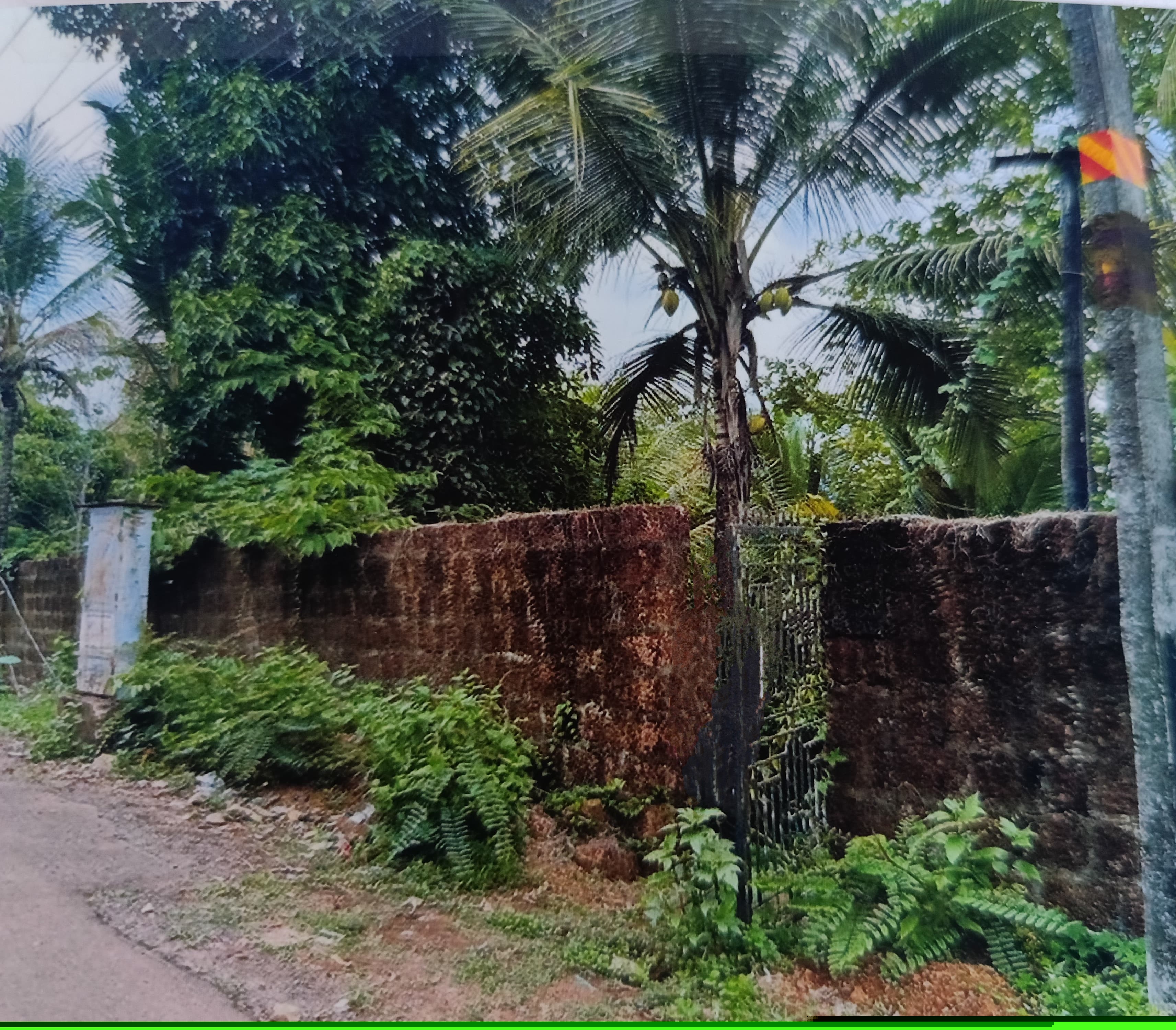 Punjab National Bank Auctions for Residential property in Kannur, Kerala image 2 of 7 in Pariyaram, Kannur | Punjab National Bank auction property