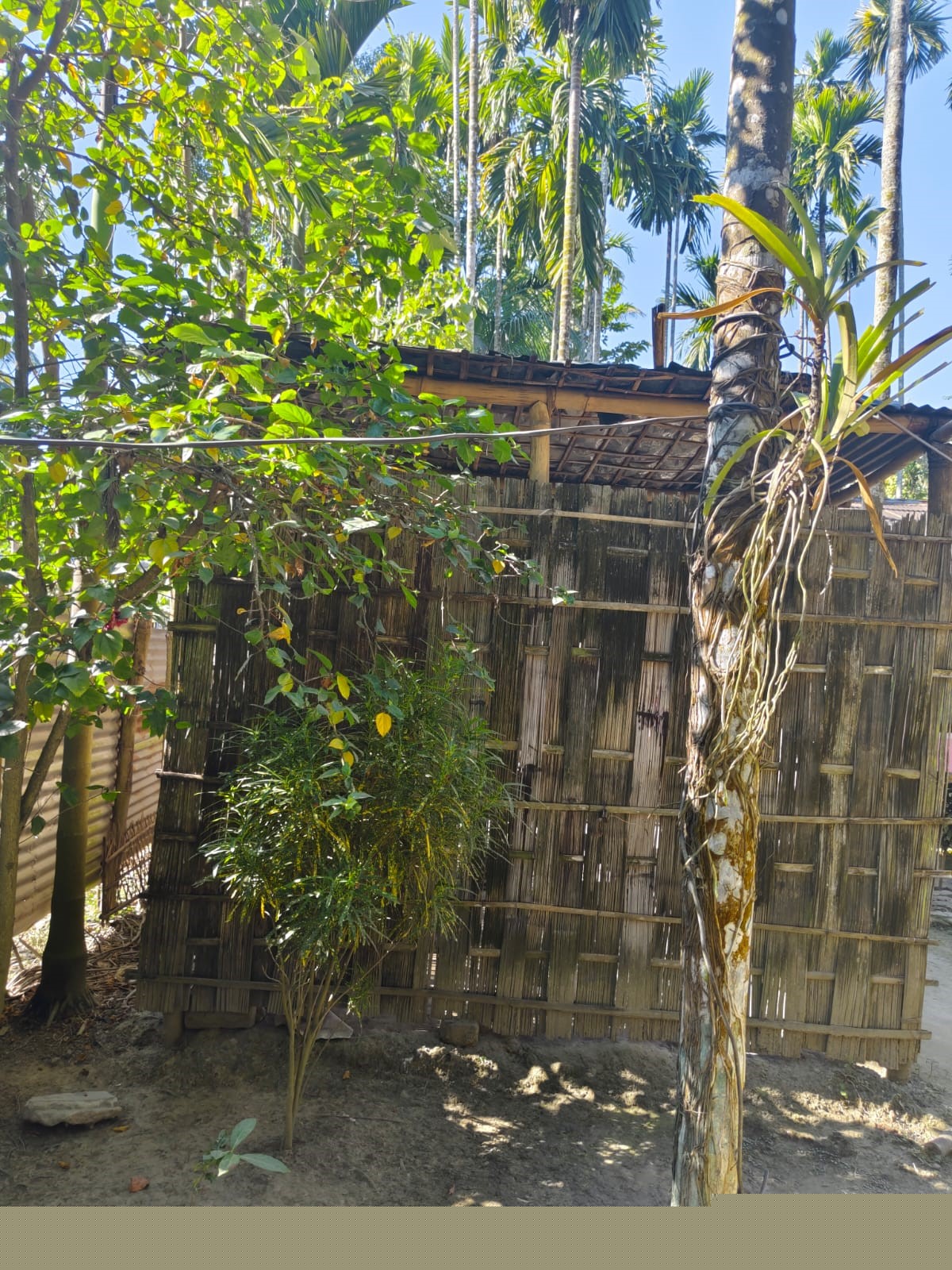 Punjab National Bank Auctions for Residential property in Morigaon, Assam image 4 of 7 in Morigaon, Morigaon | Punjab National Bank auction property