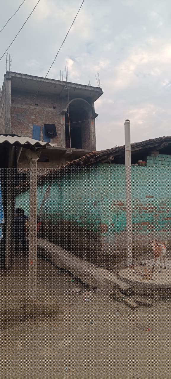 Bank of Baroda Auctions for Residential property in Khagaria, Bihar image 3 of 3 in Khagaria, Khagaria | Bank of Baroda auction property