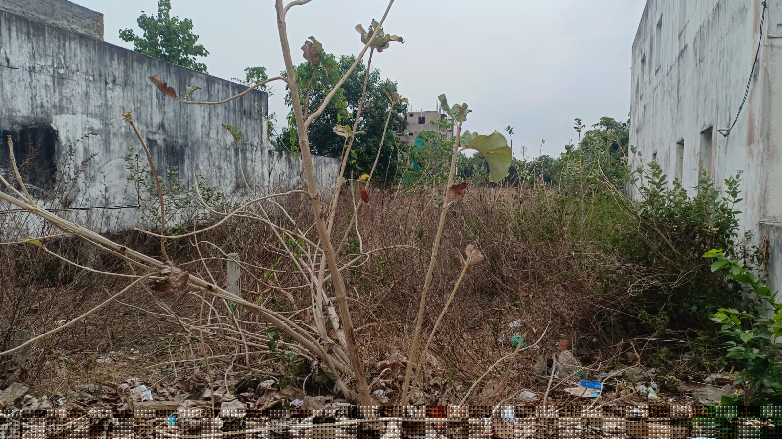 State Bank of India Auctions for Residential property in Srikakulam, Andhra Pradesh