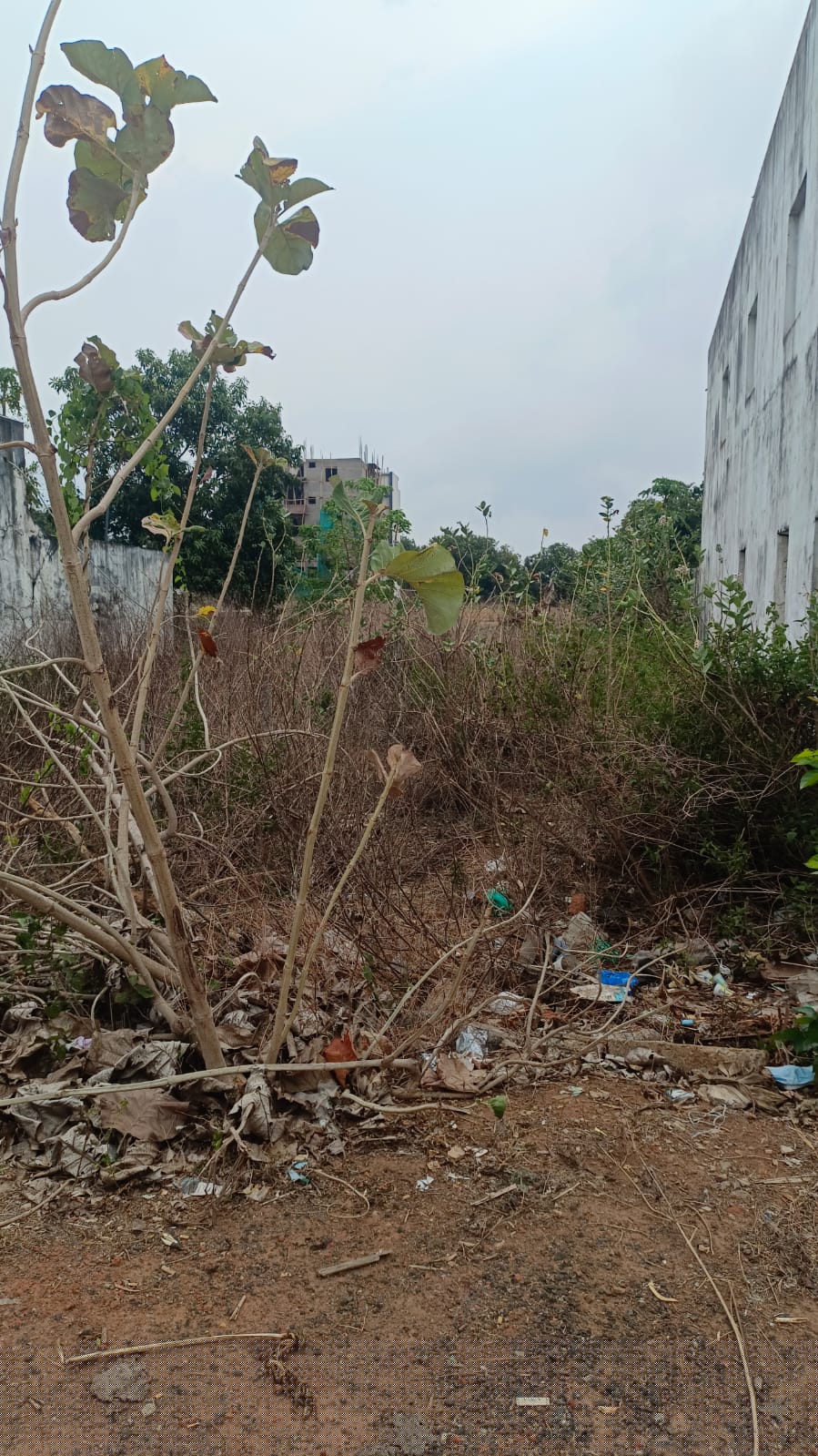 State Bank of India Auctions for Residential property in Srikakulam, Andhra Pradesh image 2 of 3 in Palasa Kasibugga, Srikakulam | State Bank of India auction property