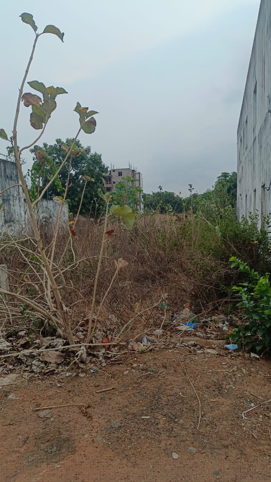 State Bank of India Auctions for Residential property in Srikakulam, Andhra Pradesh image 3 of 3 in Palasa Kasibugga, Srikakulam | State Bank of India auction property