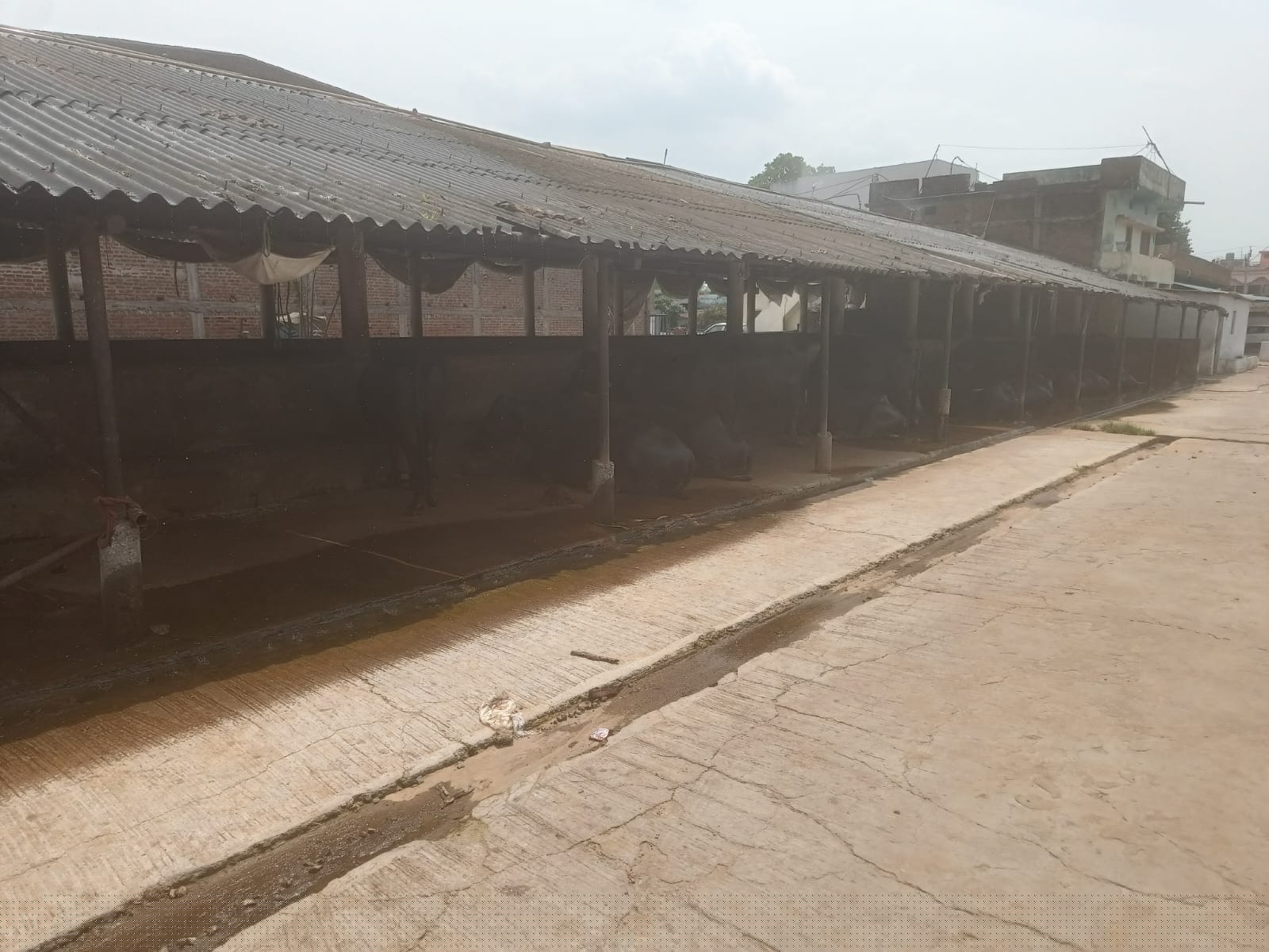 Central Bank of India Auctions for Commercial property in Jabalpur, Madhya Pradesh