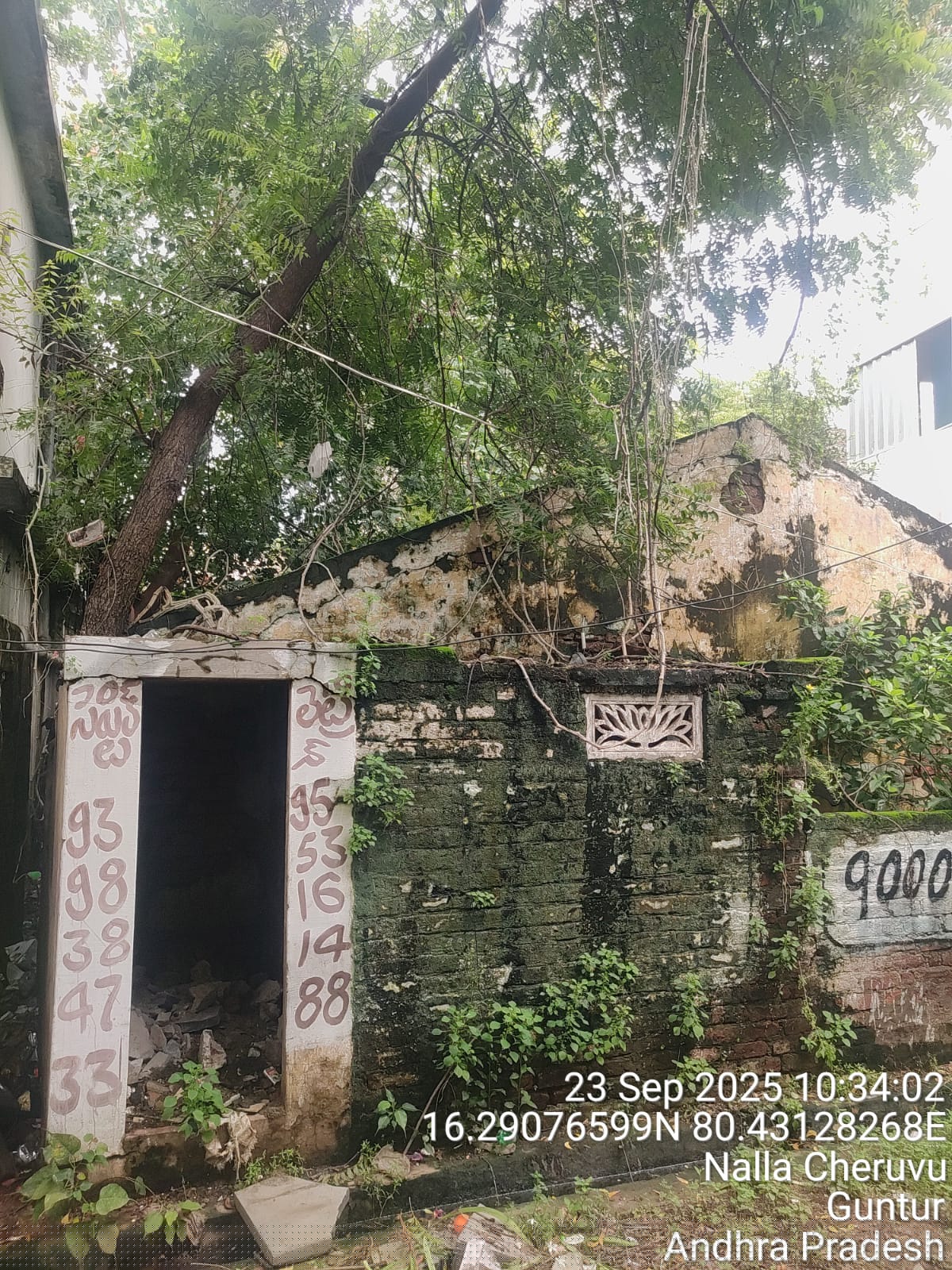 Bank of Baroda Auctions for Residential property in Guntur, Andhra Pradesh image 3 of 5 in Guntur, Guntur | Bank of Baroda auction property