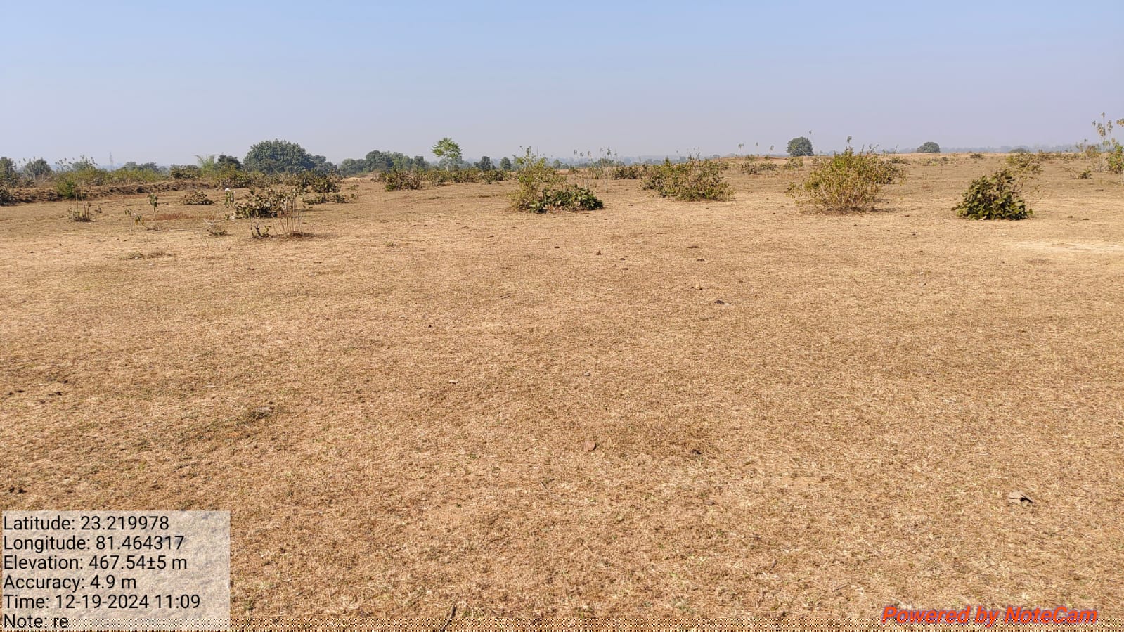 Central Bank of India Auctions for undefined property in Shahdol, Madhya Pradesh