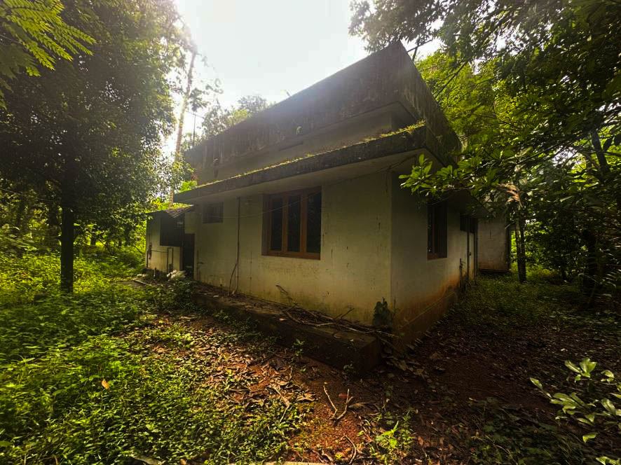 State Bank of India Auctions for Residential property in Thrissur, Kerala image 10 of 16 in Chalakudy, Thrissur | State Bank of India auction property