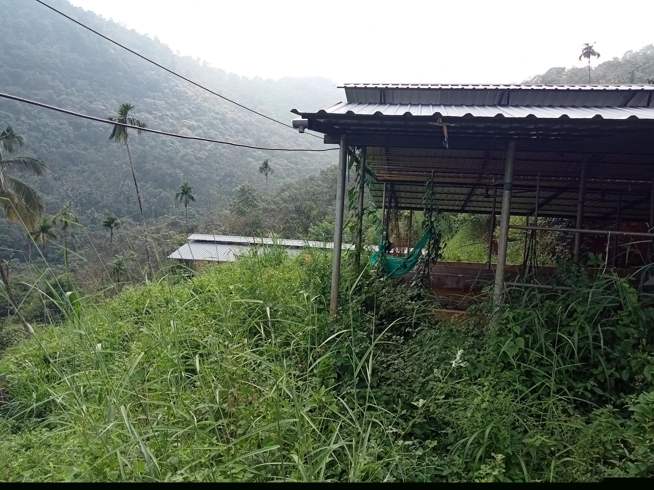 Indian Bank Auctions for Residential property in Kozhikode, Kerala