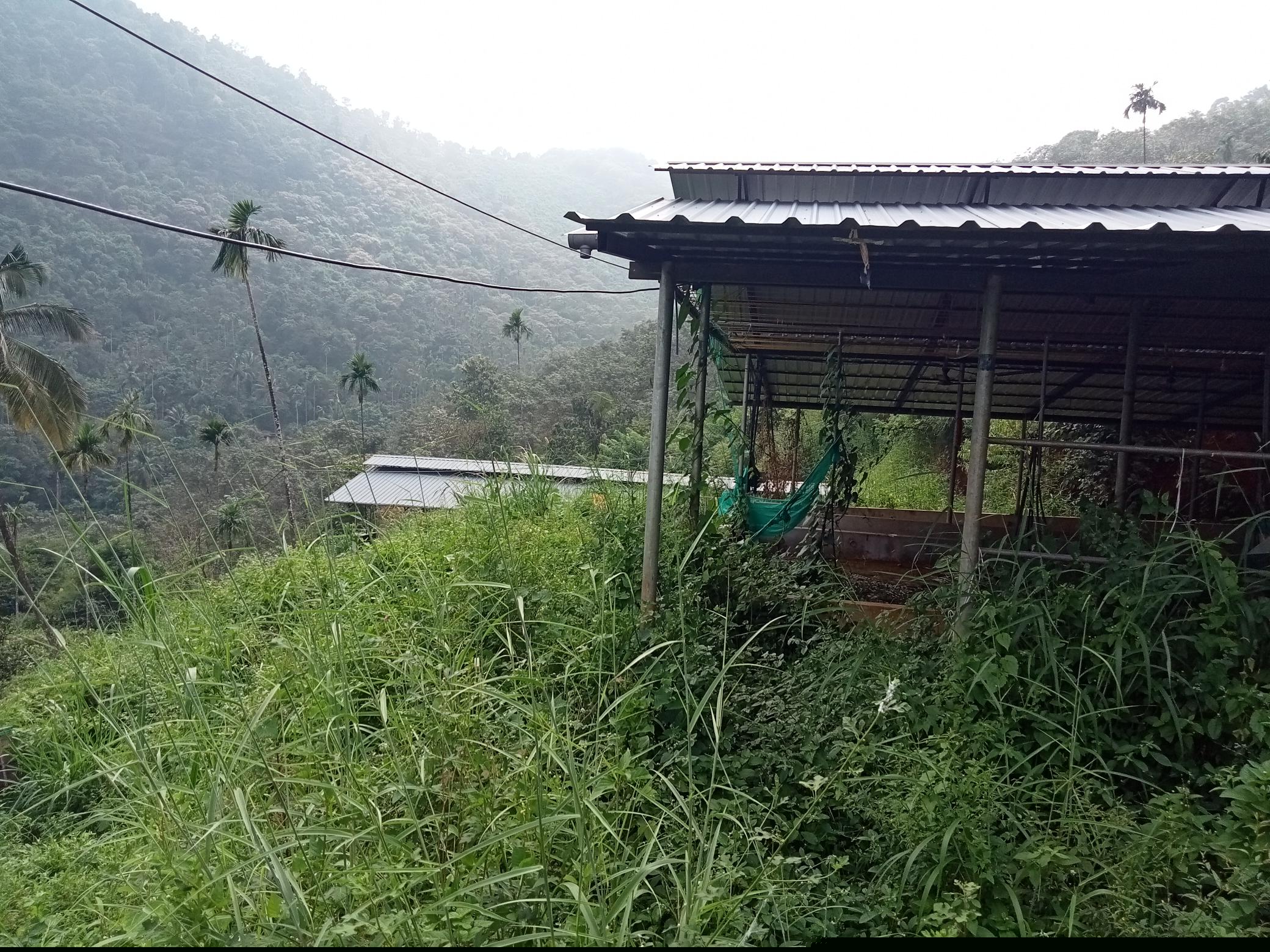 Indian Bank Auctions for Residential property in Kozhikode, Kerala image 2 of 2 in Kunnummal, Kozhikode | Indian Bank auction property