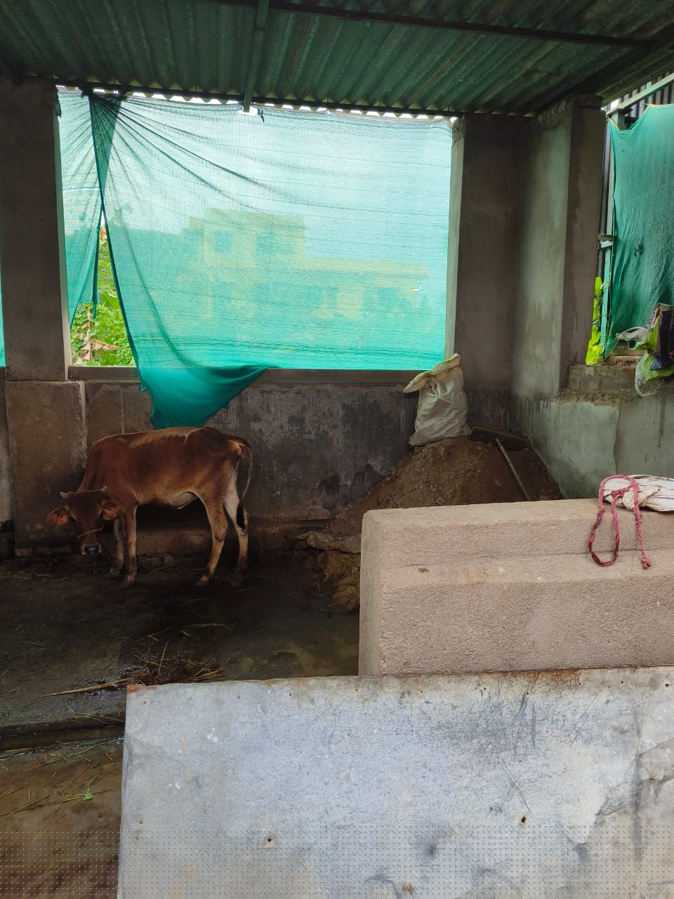 Union Bank of India Auctions for Residential property in Puri, Odisha image 6 of 6 in Pipili, Puri | Union Bank of India auction property