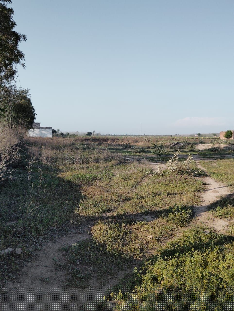 Indian Bank Auctions for Industrials property in Ludhiana, Punjab