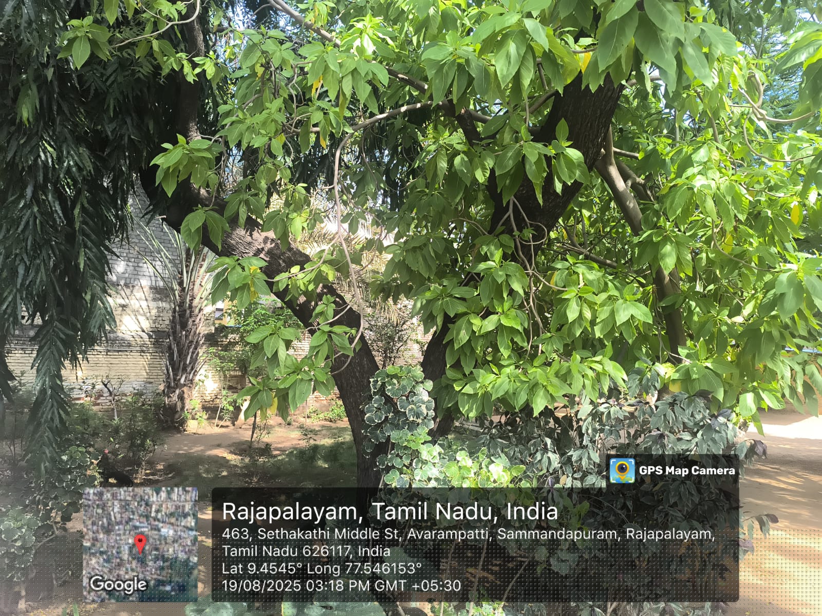 Indian Bank Auctions for Residential property in Virudhunagar, Tamil Nadu image 2 of 4 in Rajapalayam, Virudhunagar | Indian Bank auction property