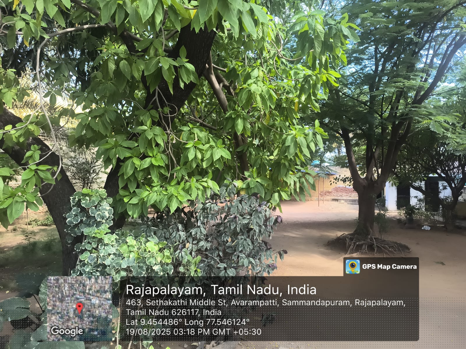 Indian Bank Auctions for Residential property in Virudhunagar, Tamil Nadu image 4 of 4 in Rajapalayam, Virudhunagar | Indian Bank auction property