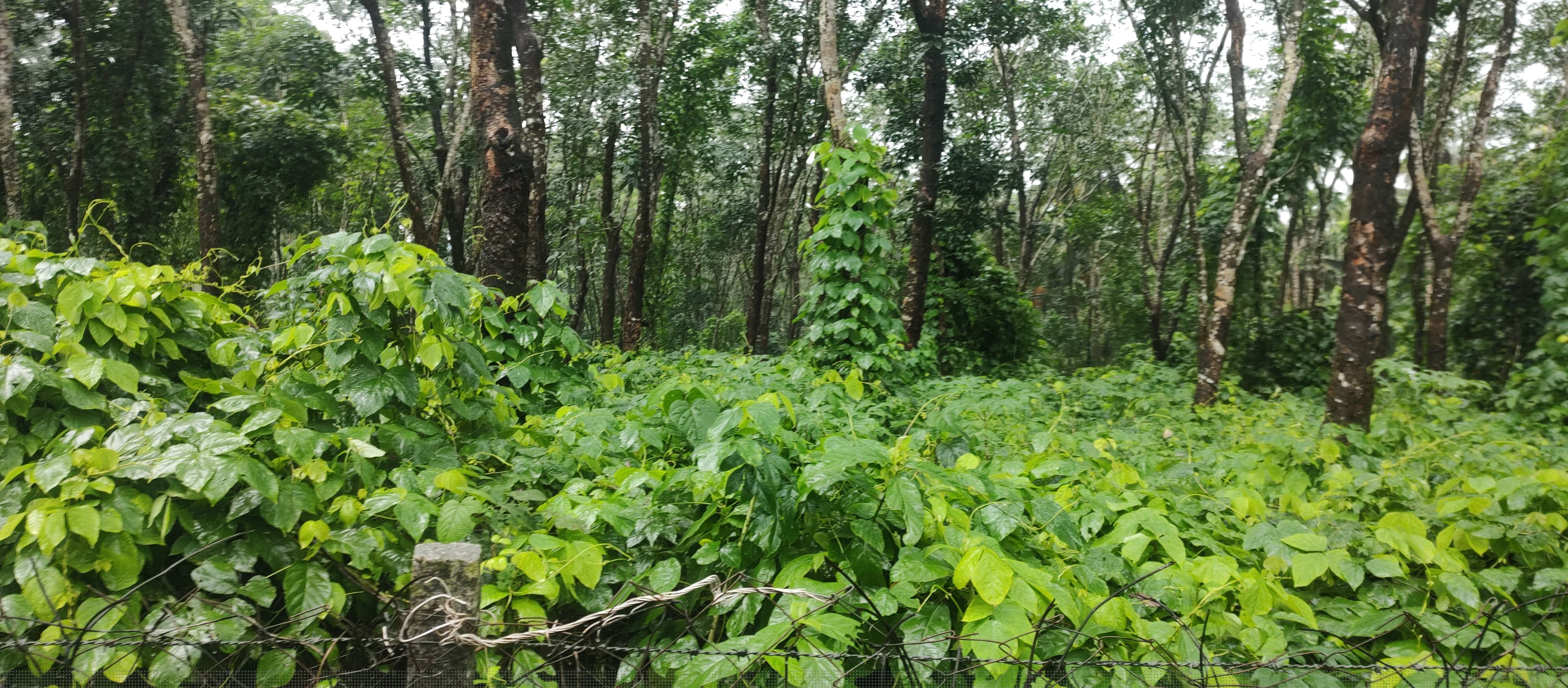 Canara Bank Auctions for Residential property in Udupi, Karnataka