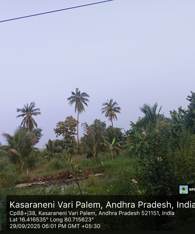 Union Bank of India Auctions for Residential property in Krishna, Andhra Pradesh