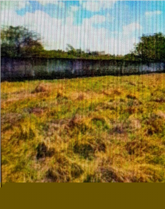 Union Bank of India Auctions for Residential property in Vijayawada, Andhra Pradesh