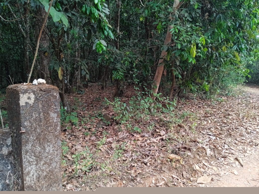 Union Bank of India Auctions for Industrials property in Udupi, Karnataka image 2 of 2 in Karkal, Udupi | Union Bank of India auction property