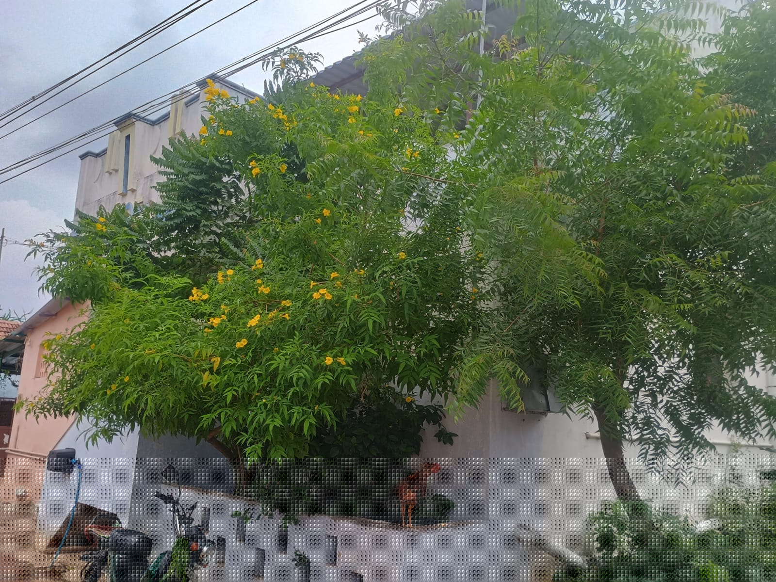 Indian Bank Auctions for Residential property in Tiruchirappalli, Tamil Nadu image 2 of 3 in Thottiyam, Tiruchirappalli | Indian Bank auction property