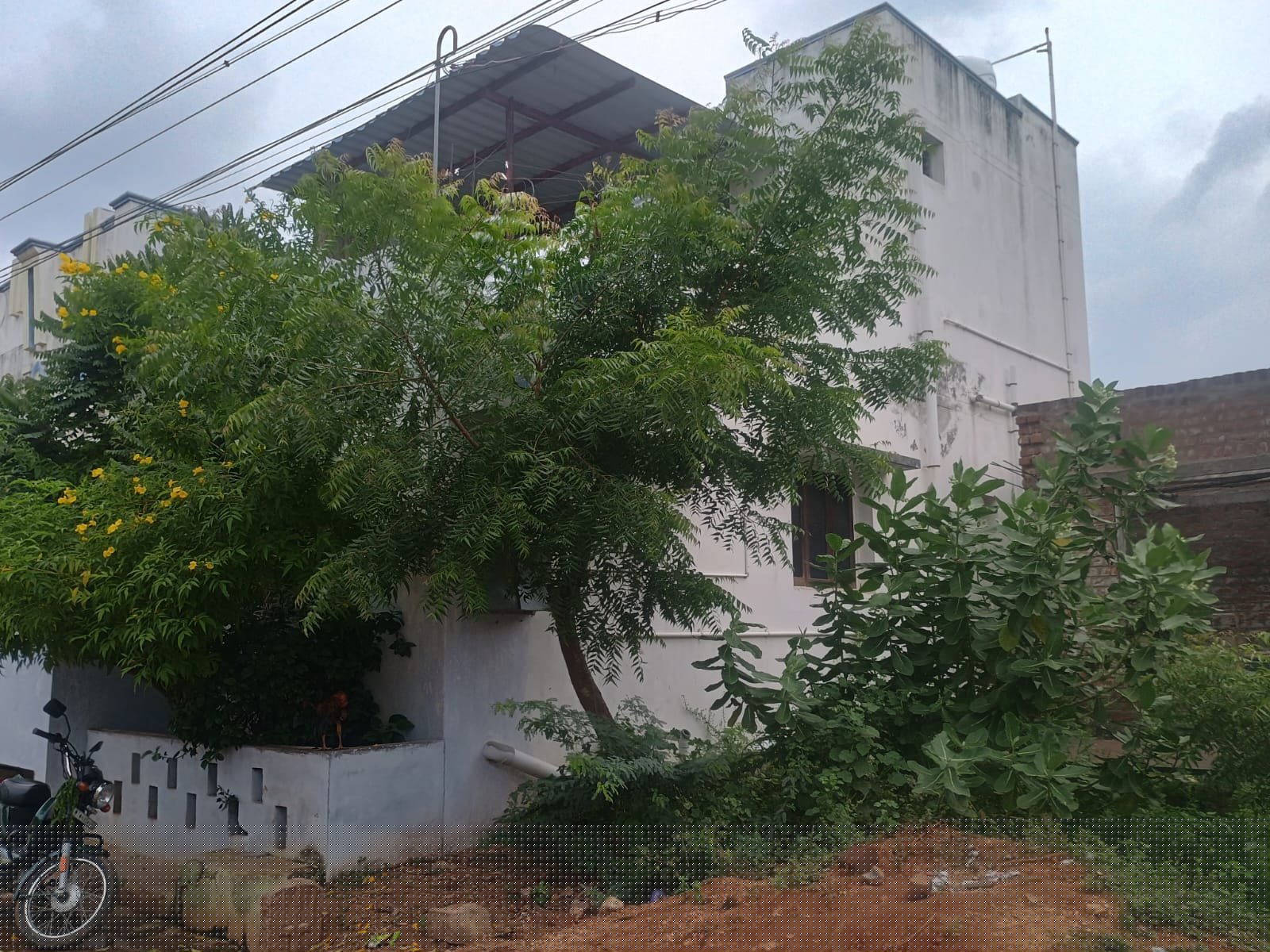 Indian Bank Auctions for Residential property in Tiruchirappalli, Tamil Nadu image 3 of 3 in Thottiyam, Tiruchirappalli | Indian Bank auction property
