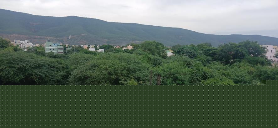 Union Bank of India Auctions for Residential property in Thirupathi, Andhra Pradesh image 22 of 52 in Tirupati, Thirupathi | Union Bank of India auction property