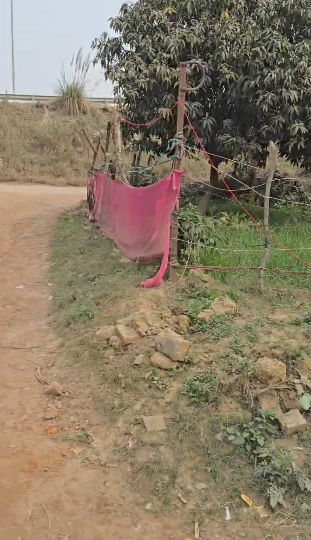 Punjab National Bank Auctions for Industrials property in Prayagraj, Uttar Pradesh image 2 of 3 in Prayagraj, Prayagraj | Punjab National Bank auction property