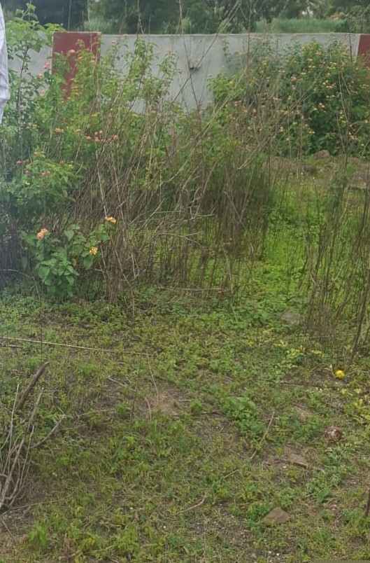 Union Bank of India Auctions for Residential property in Pune, Maharashtra