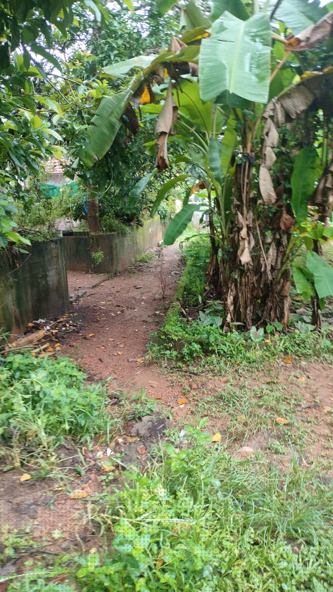 Bank of Baroda Auctions for Residential property in Kottayam, Kerala image 2 of 2 in Athirampuzha, Kottayam | Bank of Baroda auction property