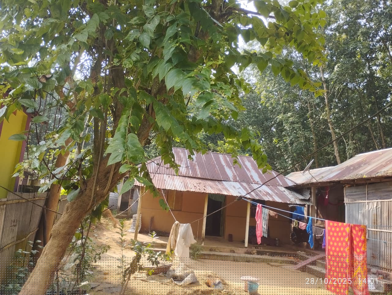 UCO Bank Auctions for Residential property in Sepahijala, Tripura image 3 of 5 in Gakulnagar, Sepahijala | UCO Bank auction property