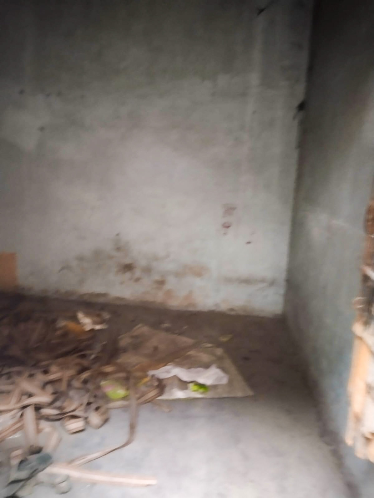 State Bank of India Auctions for Residential property in Yamunanagar, Haryana image 4 of 19 in Badhi Majra 126, Yamunanagar | State Bank of India auction property