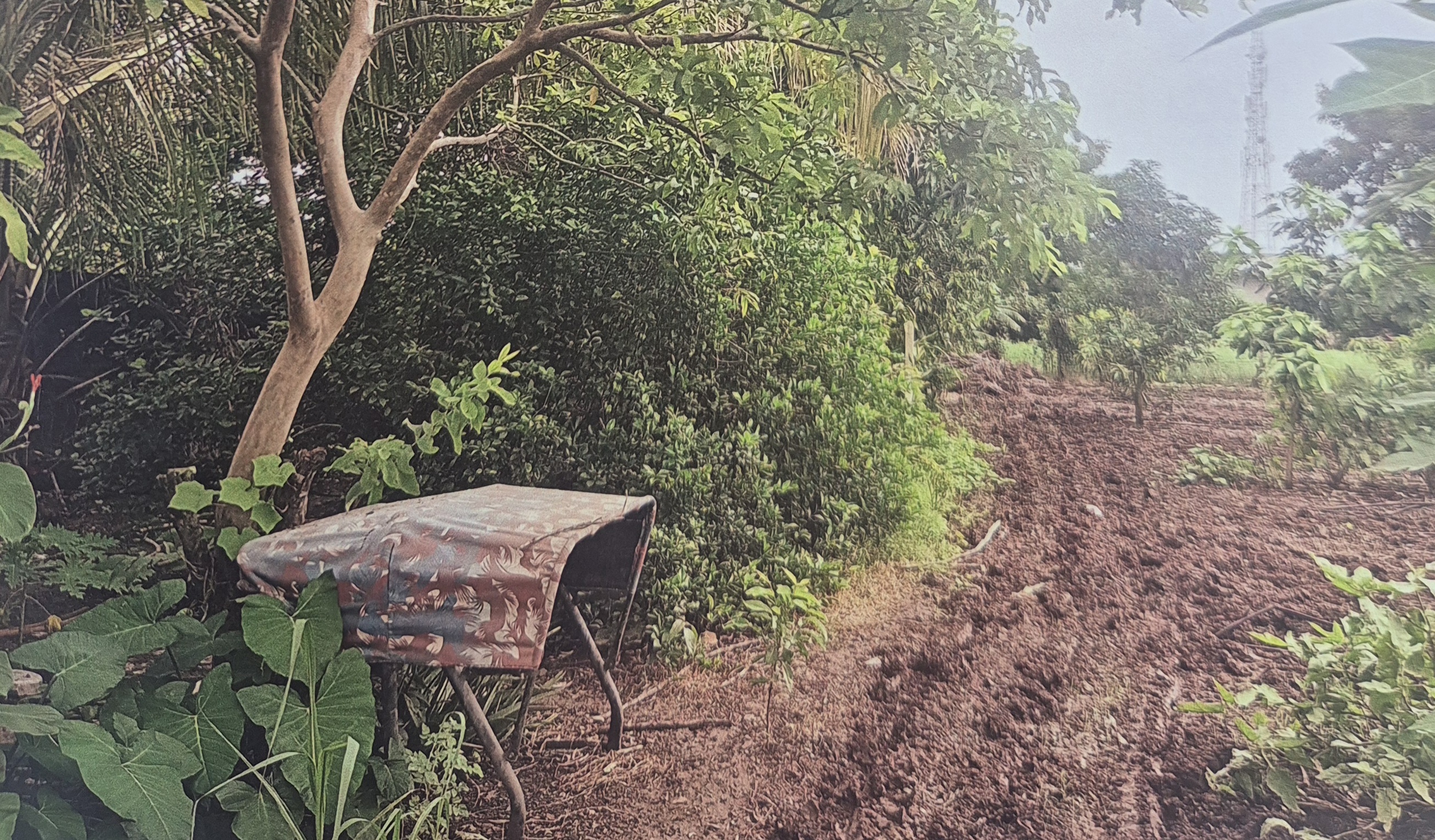 State Bank of India Auctions for Residential property in Bhavnagar, Gujarat image 2 of 4 in Talaja, Bhavnagar | State Bank of India auction property