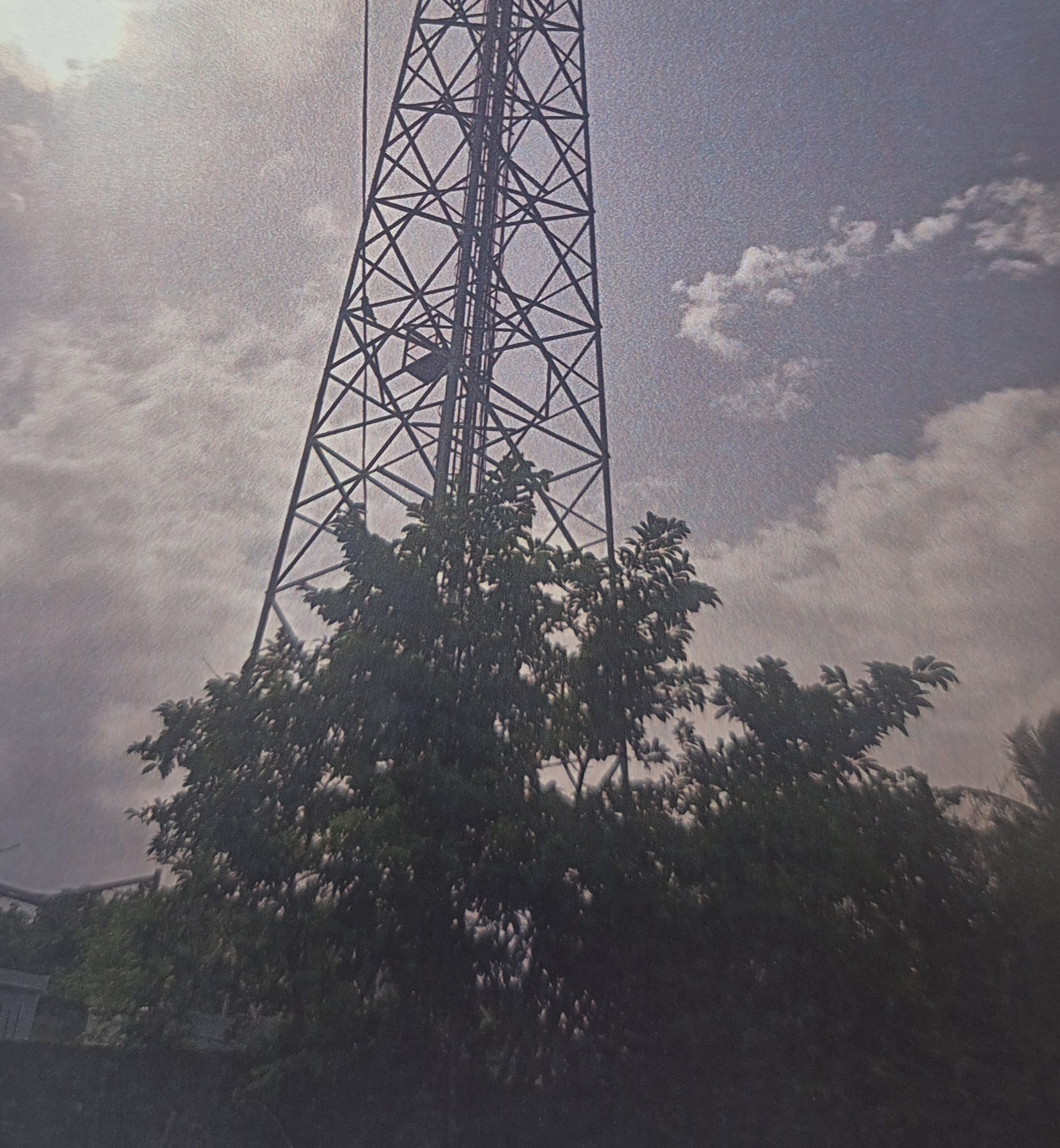 State Bank of India Auctions for Residential property in Bhavnagar, Gujarat image 5 of 8 in Talaja, Bhavnagar | State Bank of India auction property