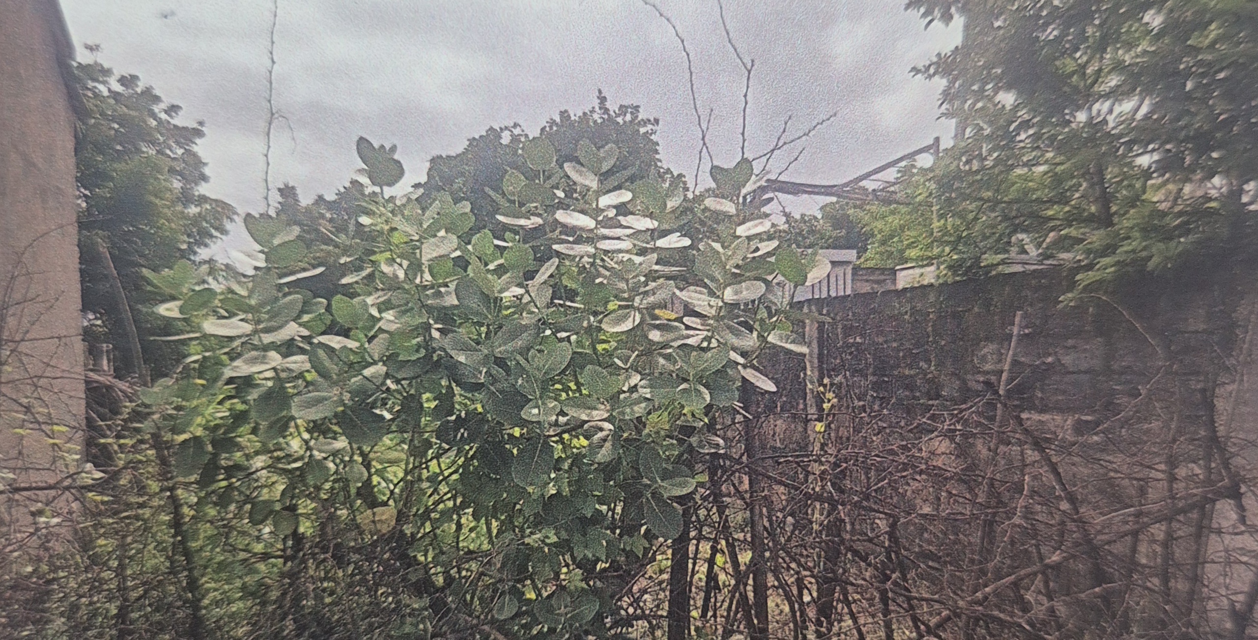 State Bank of India Auctions for Residential property in Bhavnagar, Gujarat image 6 of 8 in Talaja, Bhavnagar | State Bank of India auction property