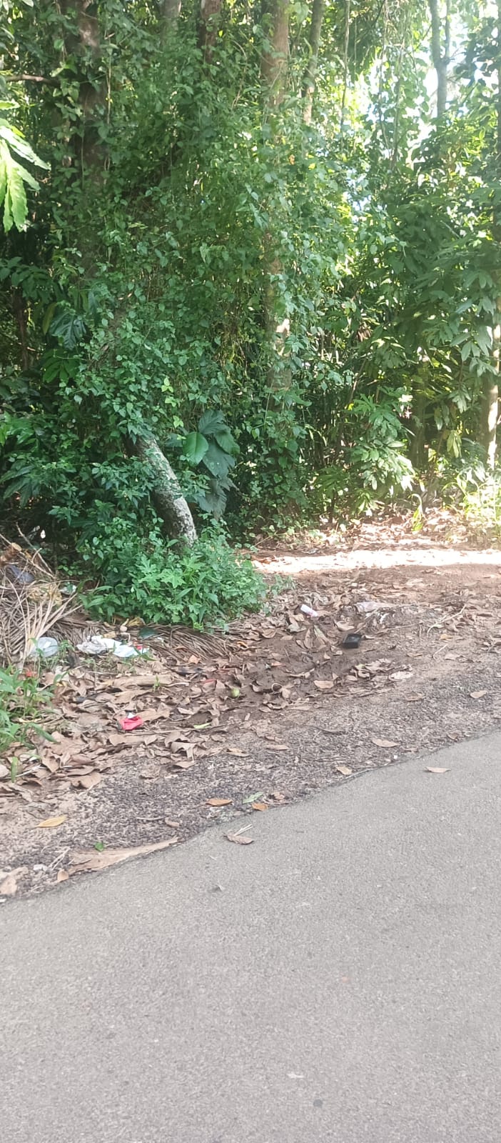 Bank of Baroda Auctions for Residential property in Trivandrum, Kerala image 2 of 5 in Athiyannur, Trivandrum | Bank of Baroda auction property