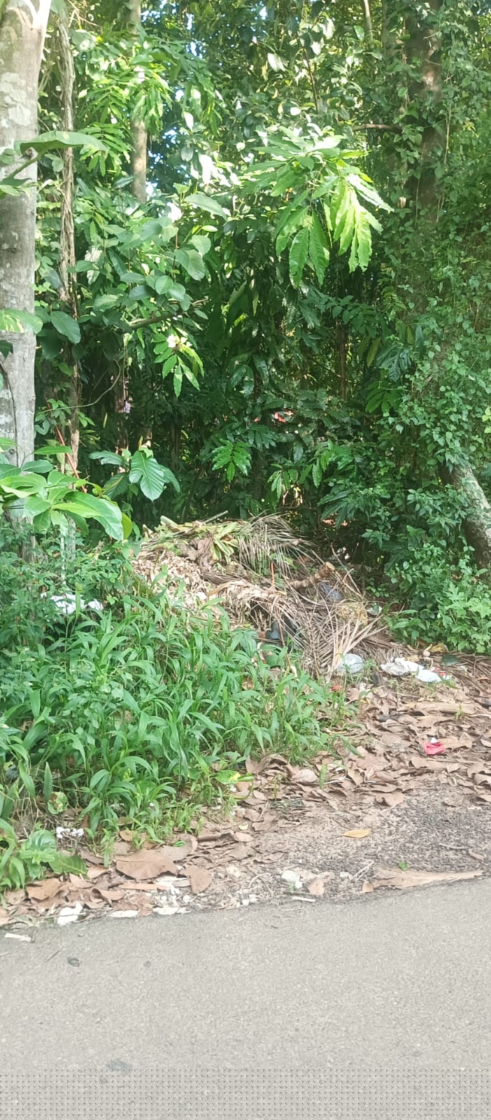 Bank of Baroda Auctions for Residential property in Trivandrum, Kerala image 3 of 5 in Athiyannur, Trivandrum | Bank of Baroda auction property