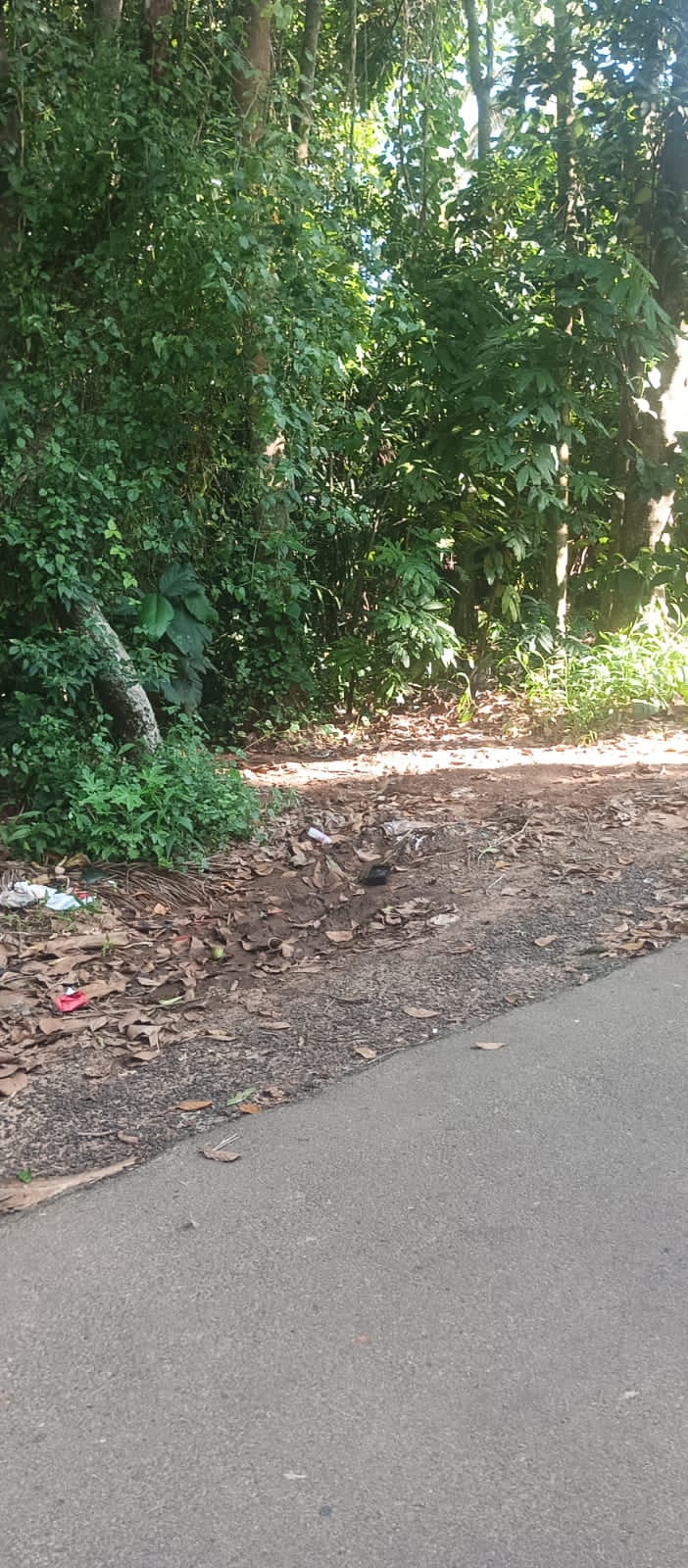 Bank of Baroda Auctions for Residential property in Trivandrum, Kerala image 5 of 5 in Athiyannur, Trivandrum | Bank of Baroda auction property