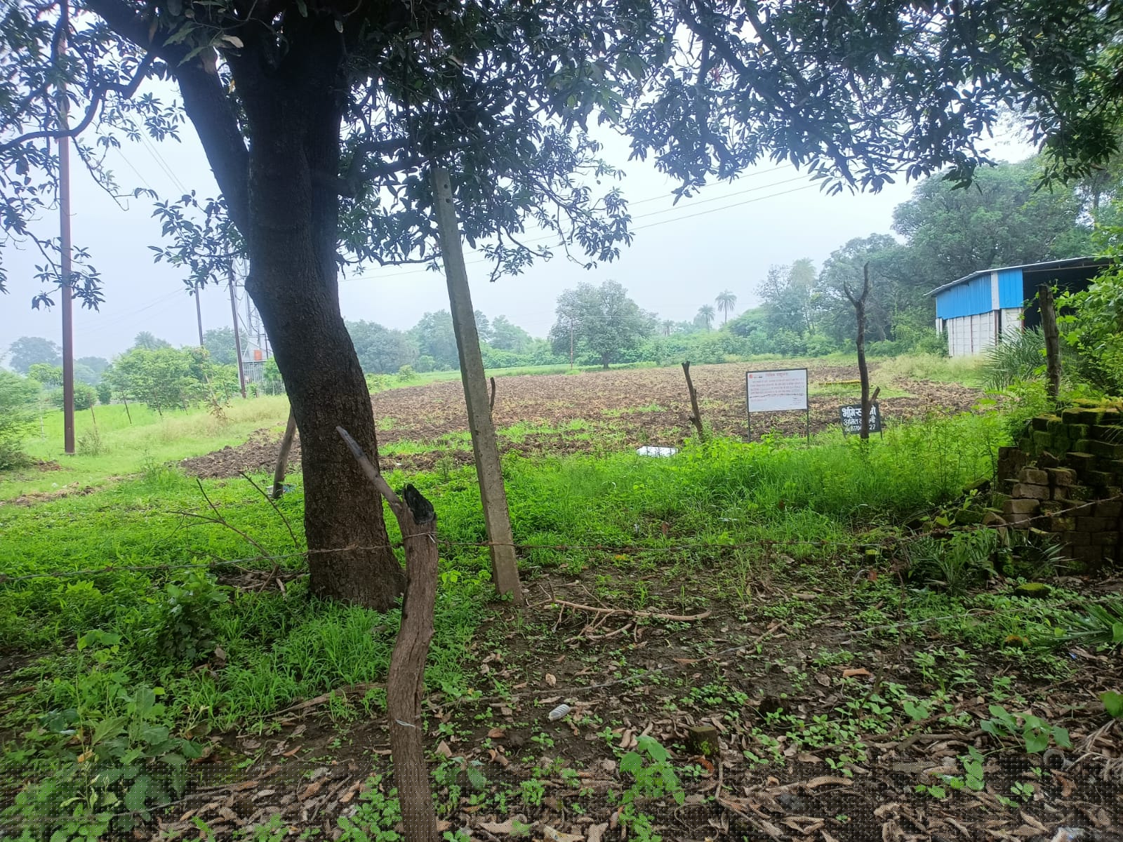 Bank of Baroda Auctions for Residential property in Sehore, Madhya Pradesh image 3 of 3 in Industrial Area Badiakhedi, Sehore | Bank of Baroda auction property