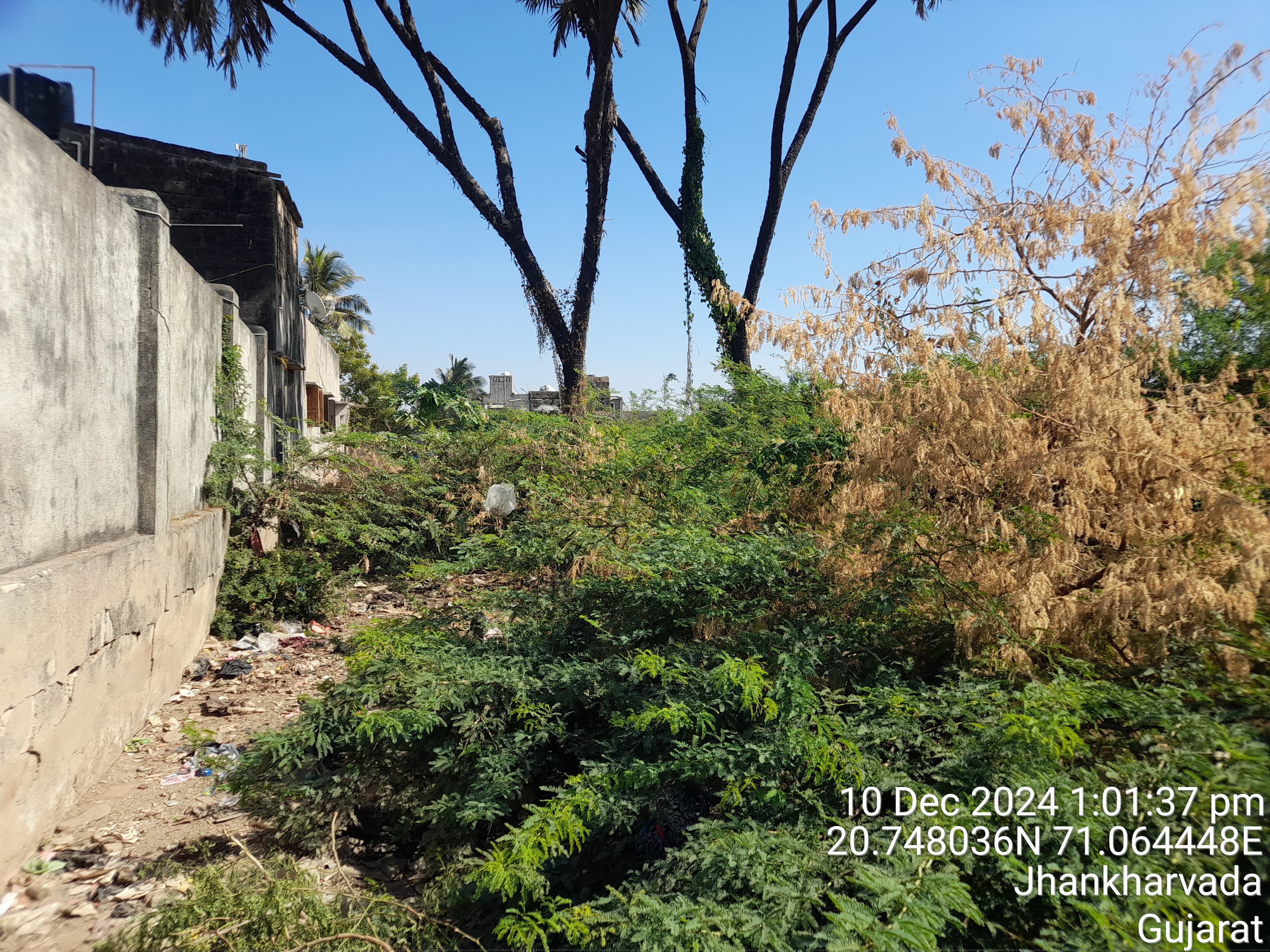 Punjab National Bank Auctions for Residential property in Gir Somnath, Gujarat image 2 of 2 in Una, Gir Somnath | Punjab National Bank auction property