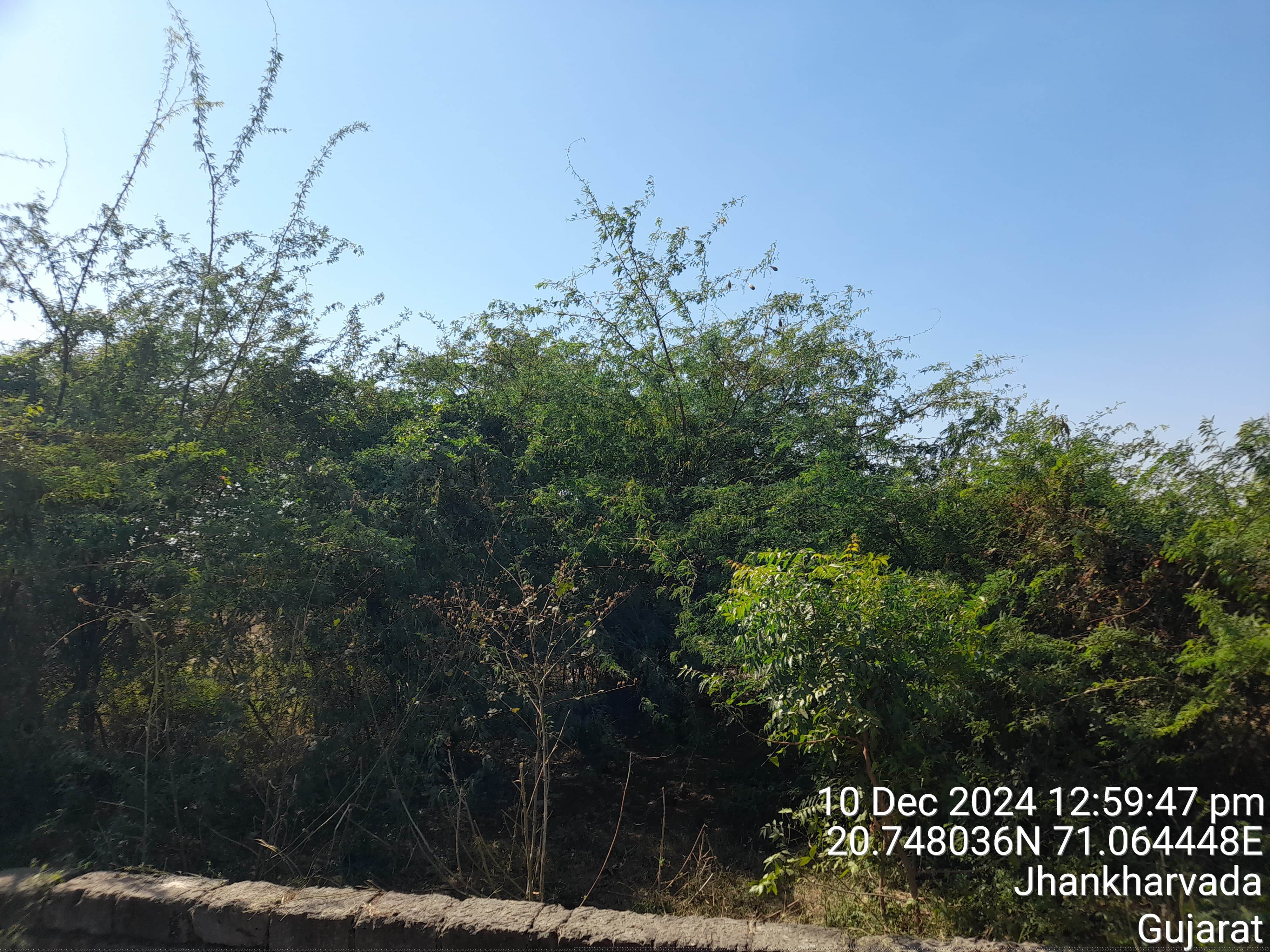 Punjab National Bank Auctions for Residential property in Gir Somnath, Gujarat image 2 of 3 in Una, Gir Somnath | Punjab National Bank auction property