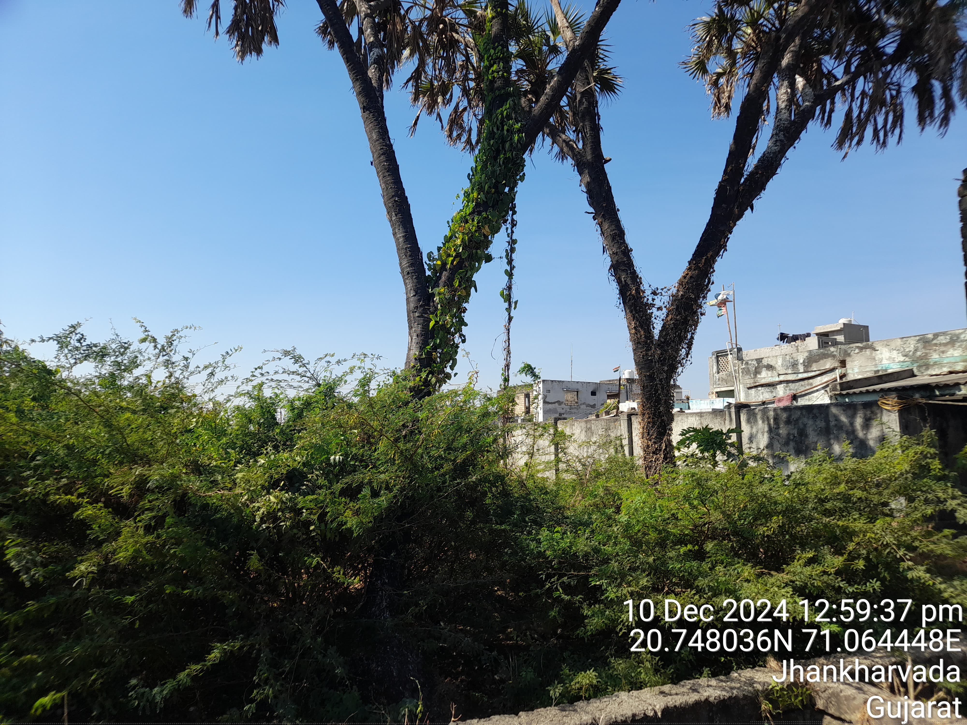 Punjab National Bank Auctions for Residential property in Gir Somnath, Gujarat image 3 of 3 in Una, Gir Somnath | Punjab National Bank auction property