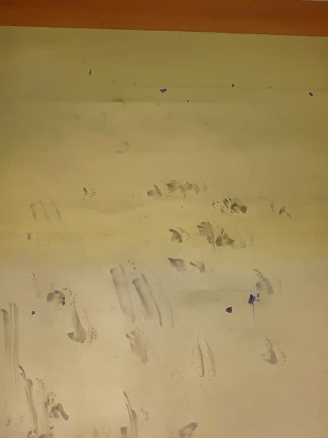 Punjab National Bank Auctions for Residential property in Raigarh, Chhattisgarh image 29 of 33 in Kharsia, Raigarh | Punjab National Bank auction property