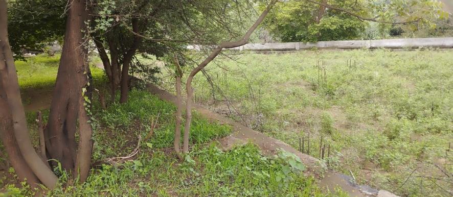 Punjab National Bank Auctions for Residential property in Kheda, Gujarat image 2 of 8 in Kapadvanj, Kheda | Punjab National Bank auction property